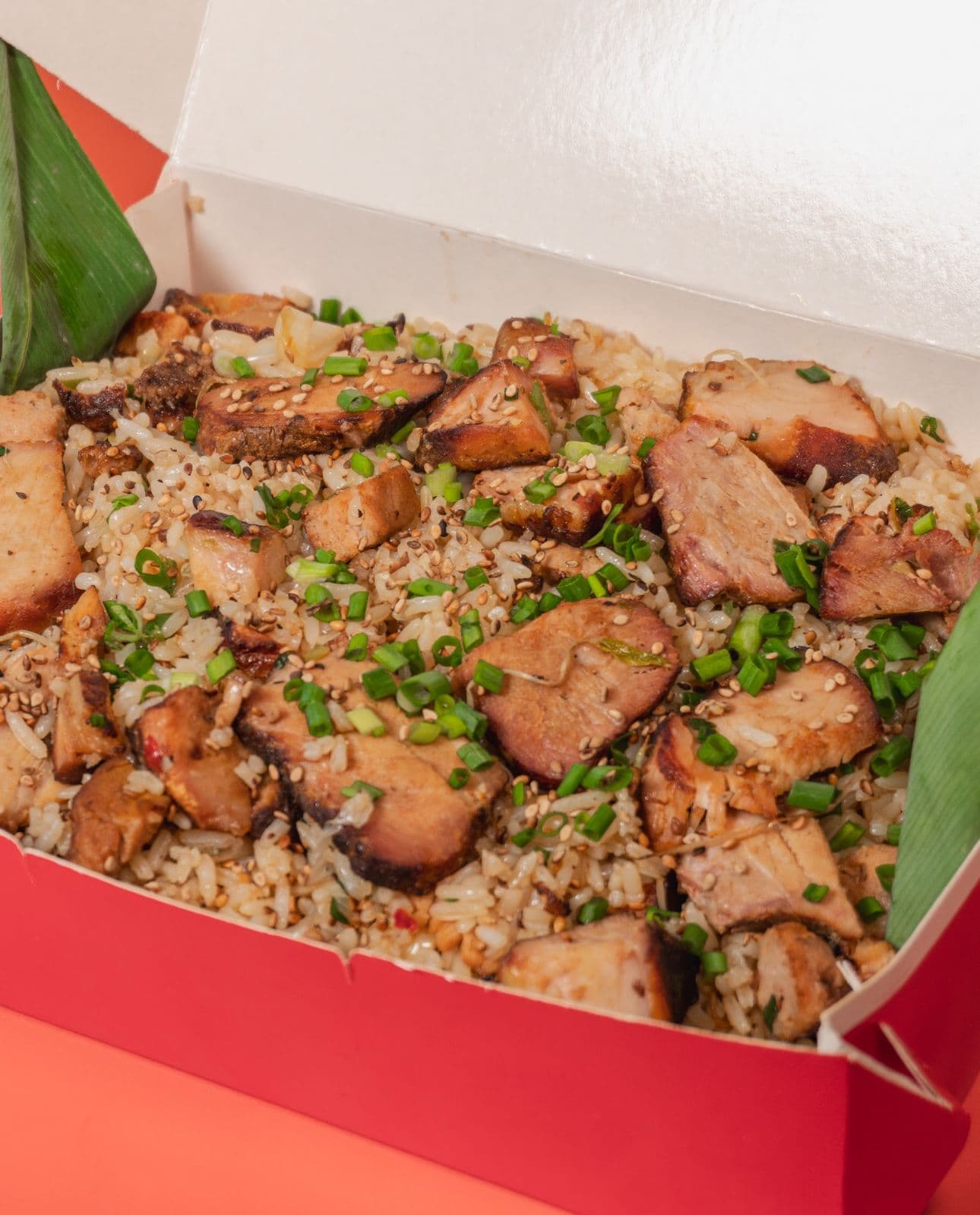 Arroz de Cerdo Personal para 1 Persona