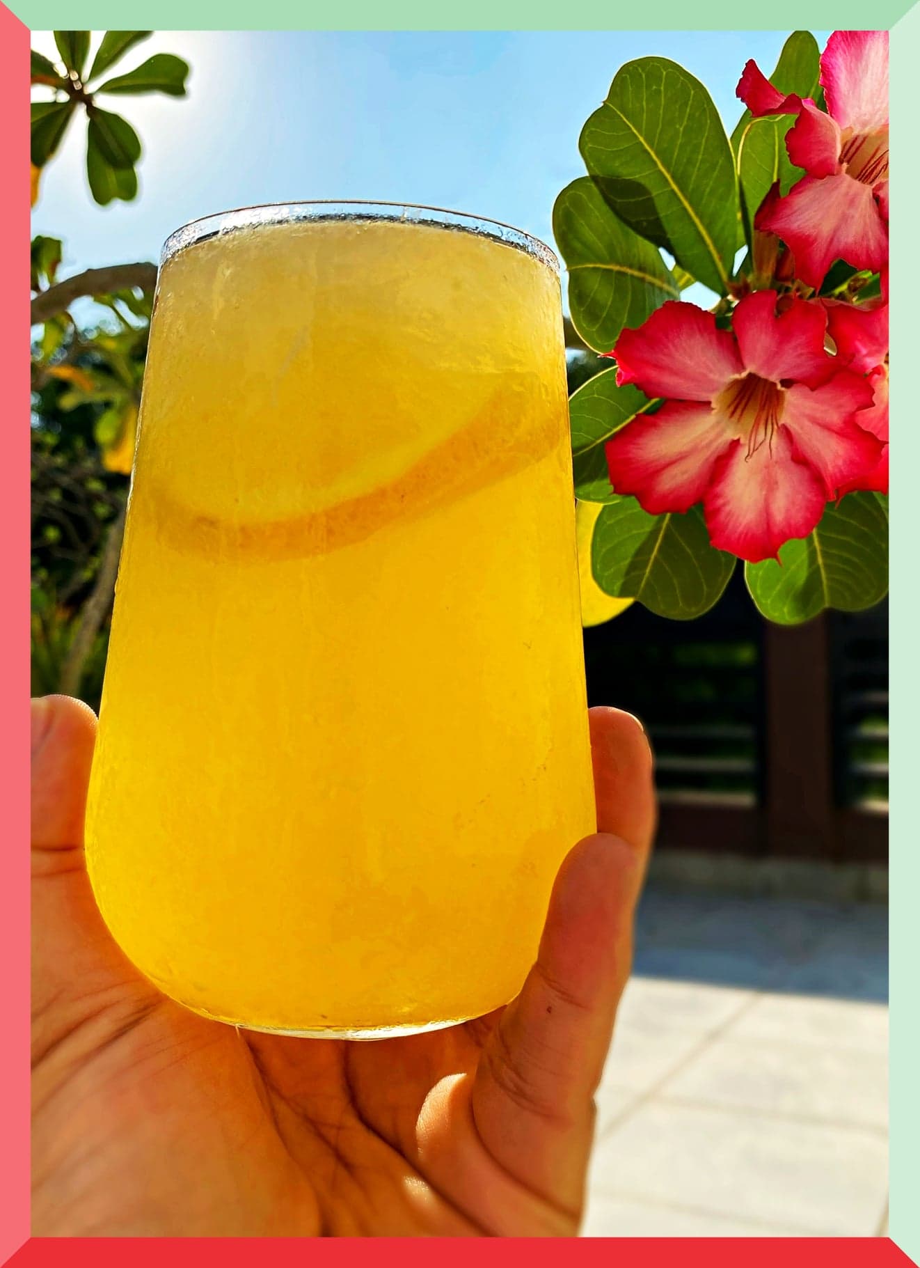 Agua Frutal Chica