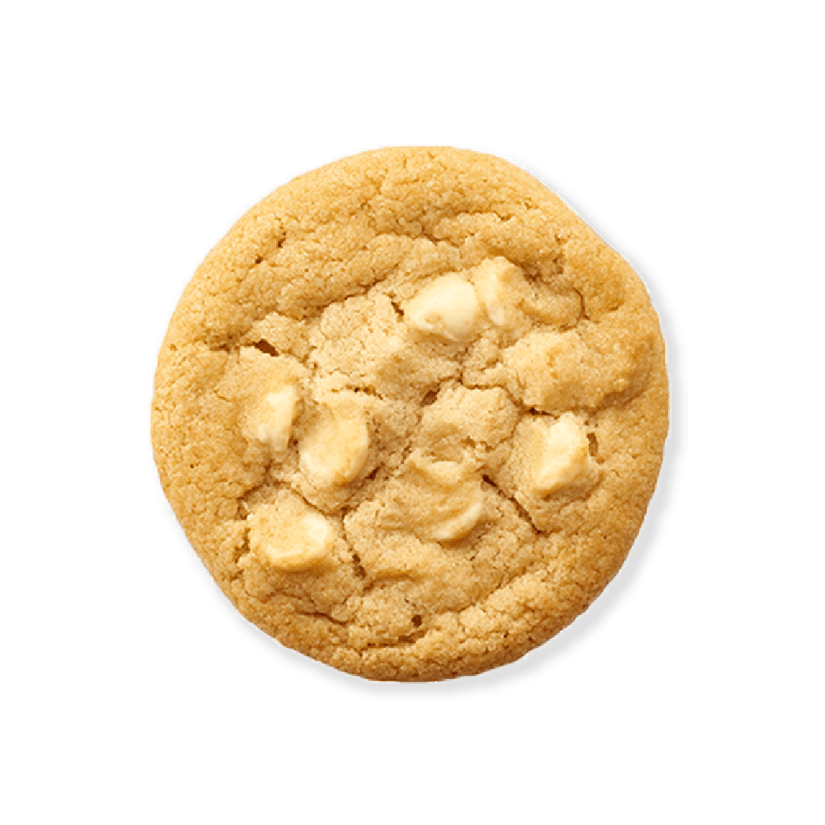 Galleta Macadamia y Chocolate Blanco