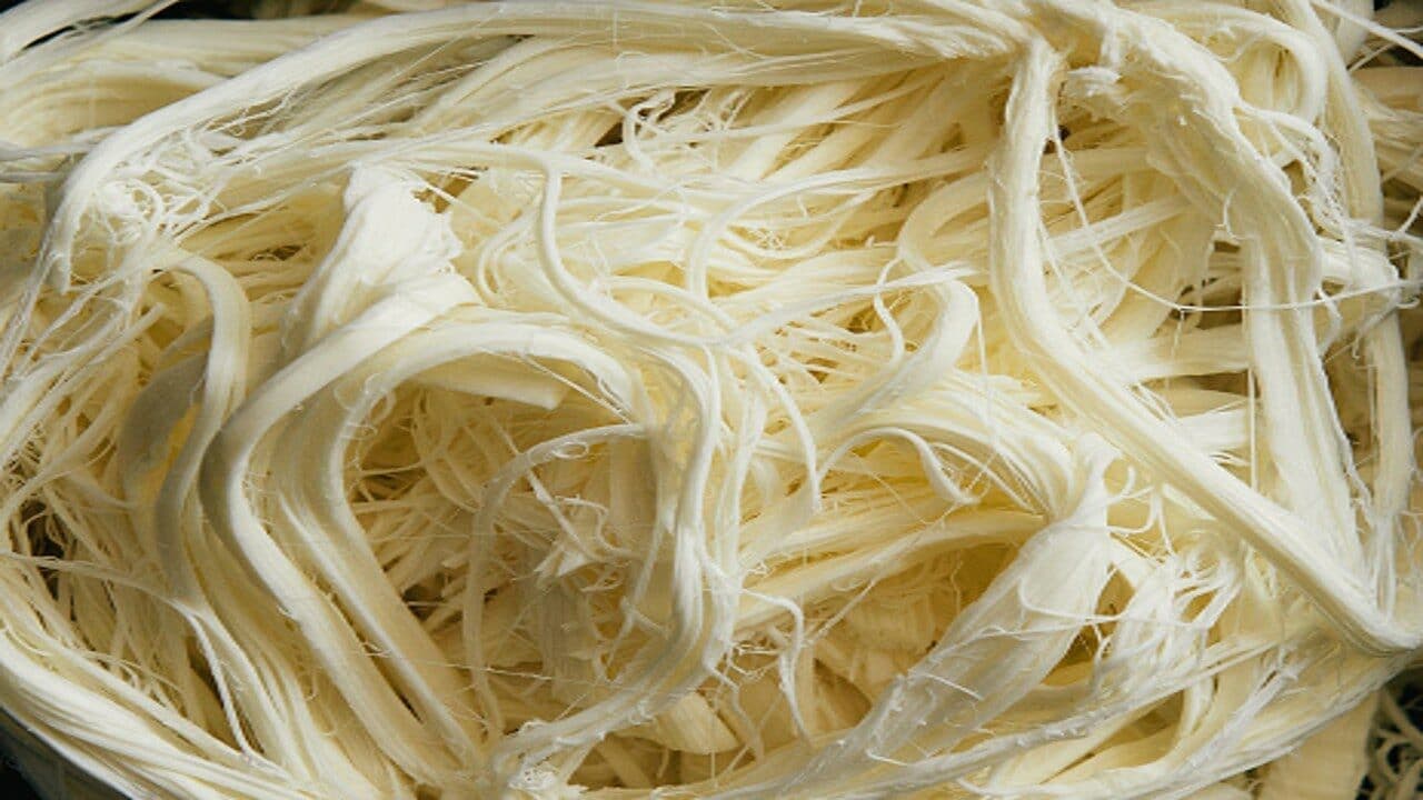 Quesillo.