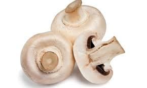 Champiñones