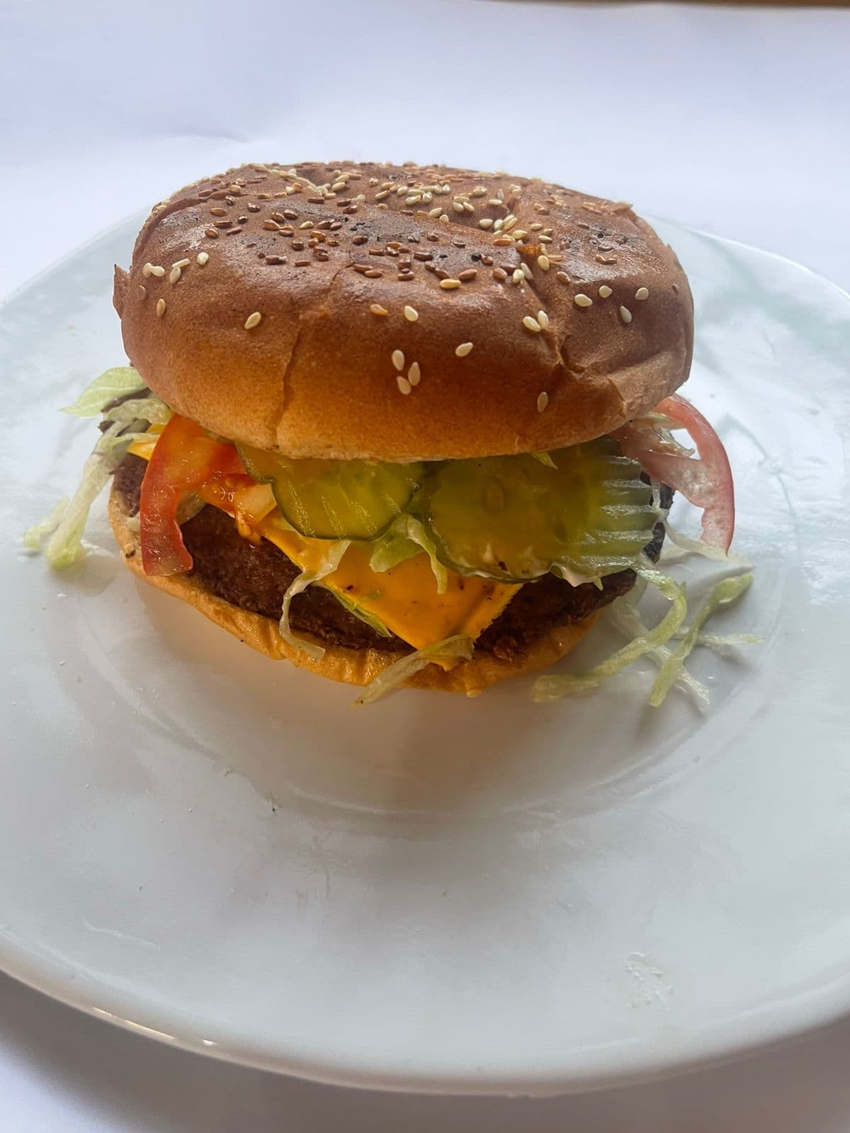 Hamburguesa Sencilla