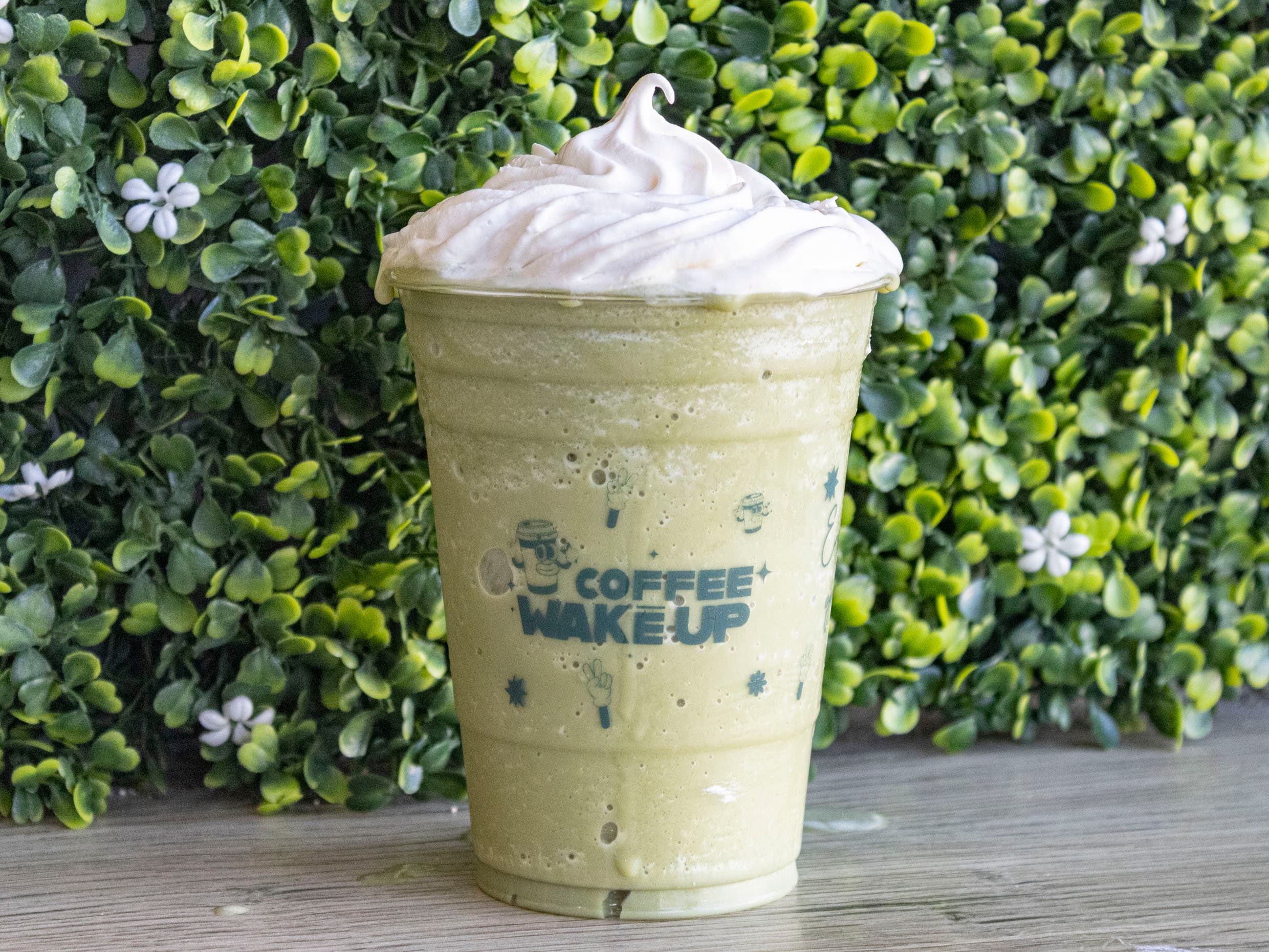 Frappé Matcha MD 16 oz