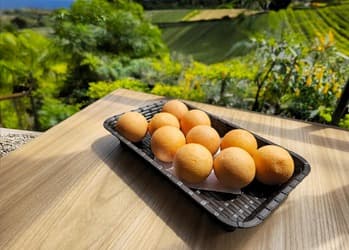 Buñuelo Tradicional