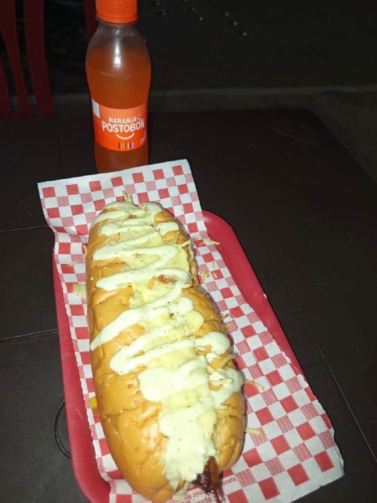 Perro Miti Suizo