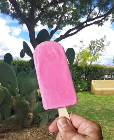 Yogurt Frutos Rojos