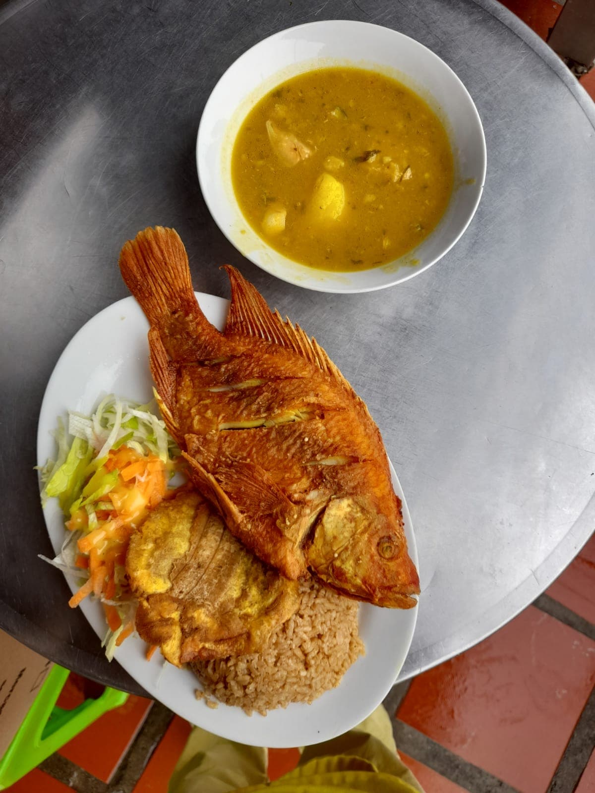 Tilapia