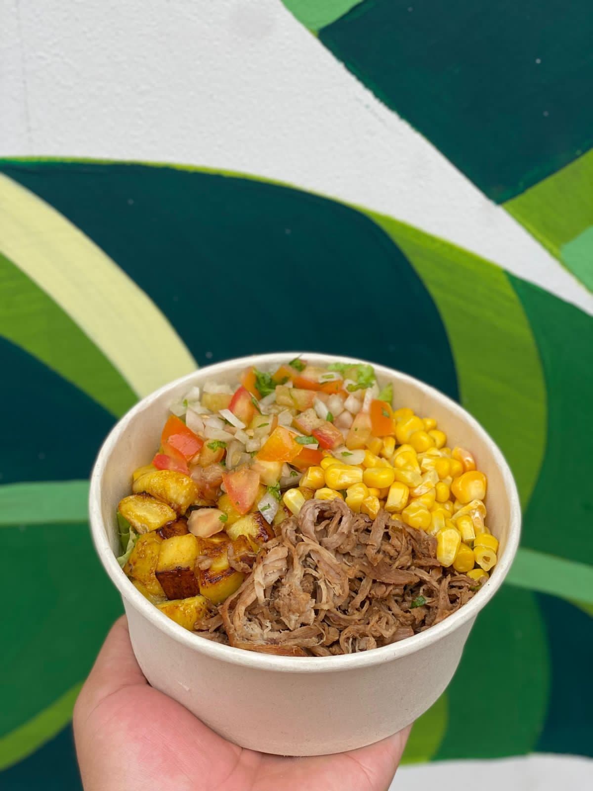 Combo de Bowl Desmechado
