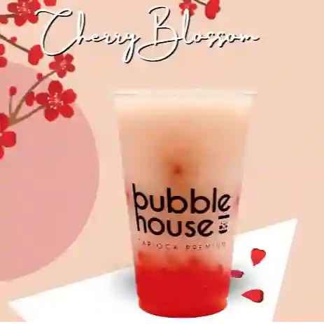 Cherry Blossom