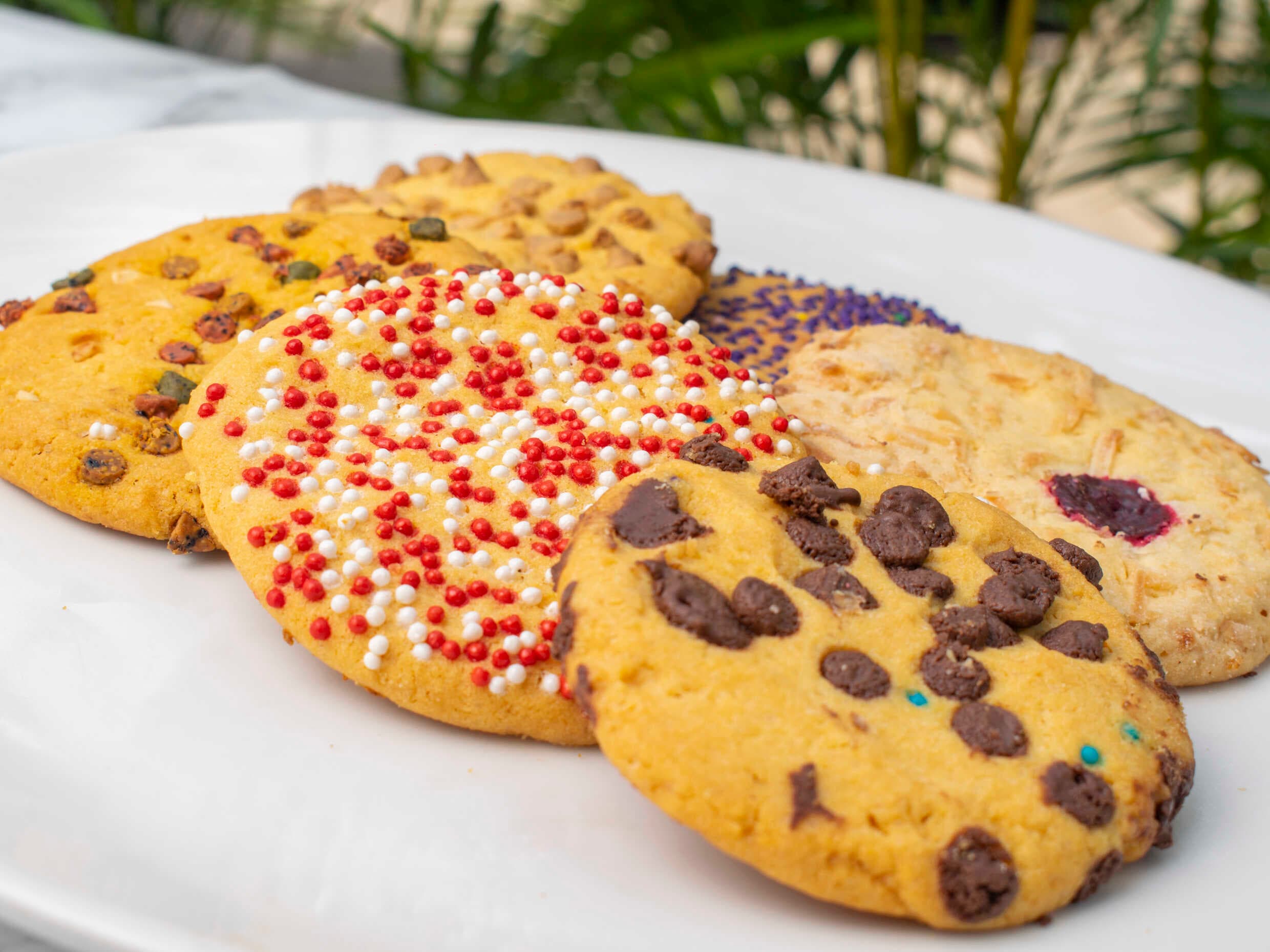Galleta