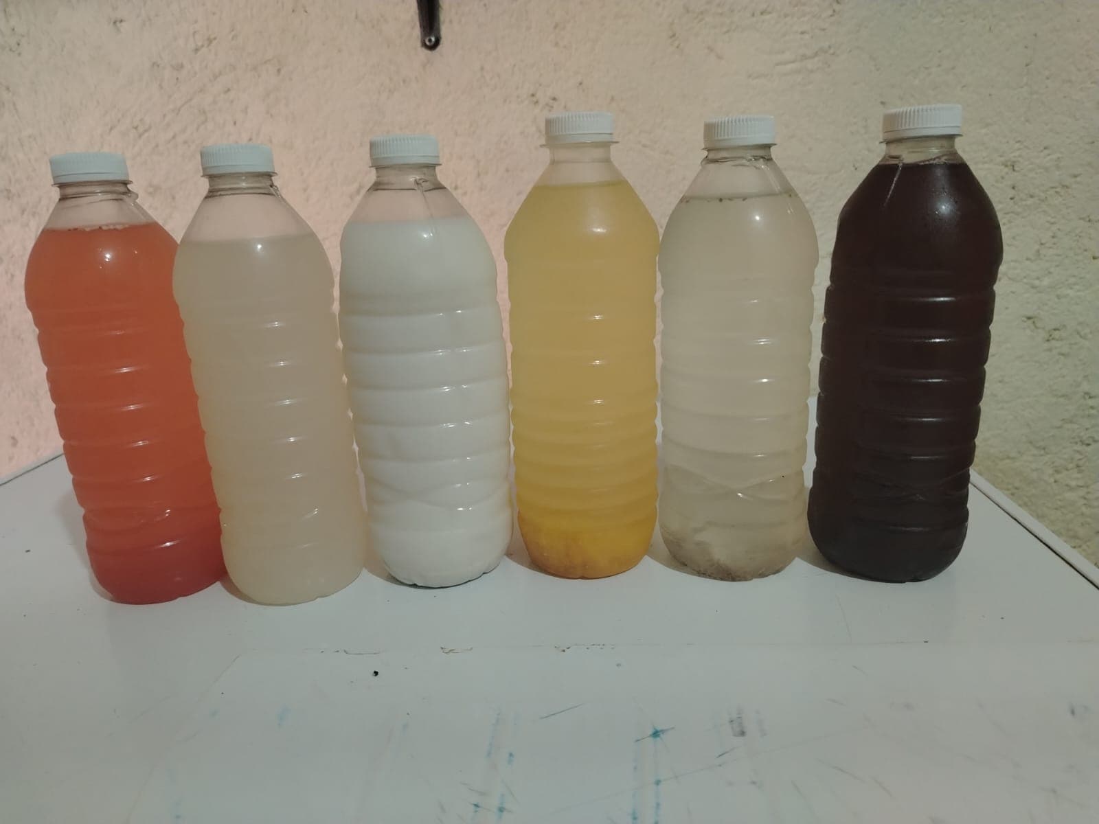 Bebidas