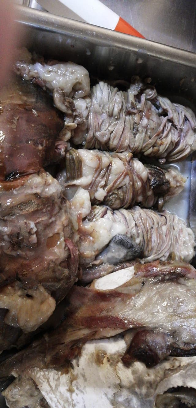 Kilogramo de Barbacoa