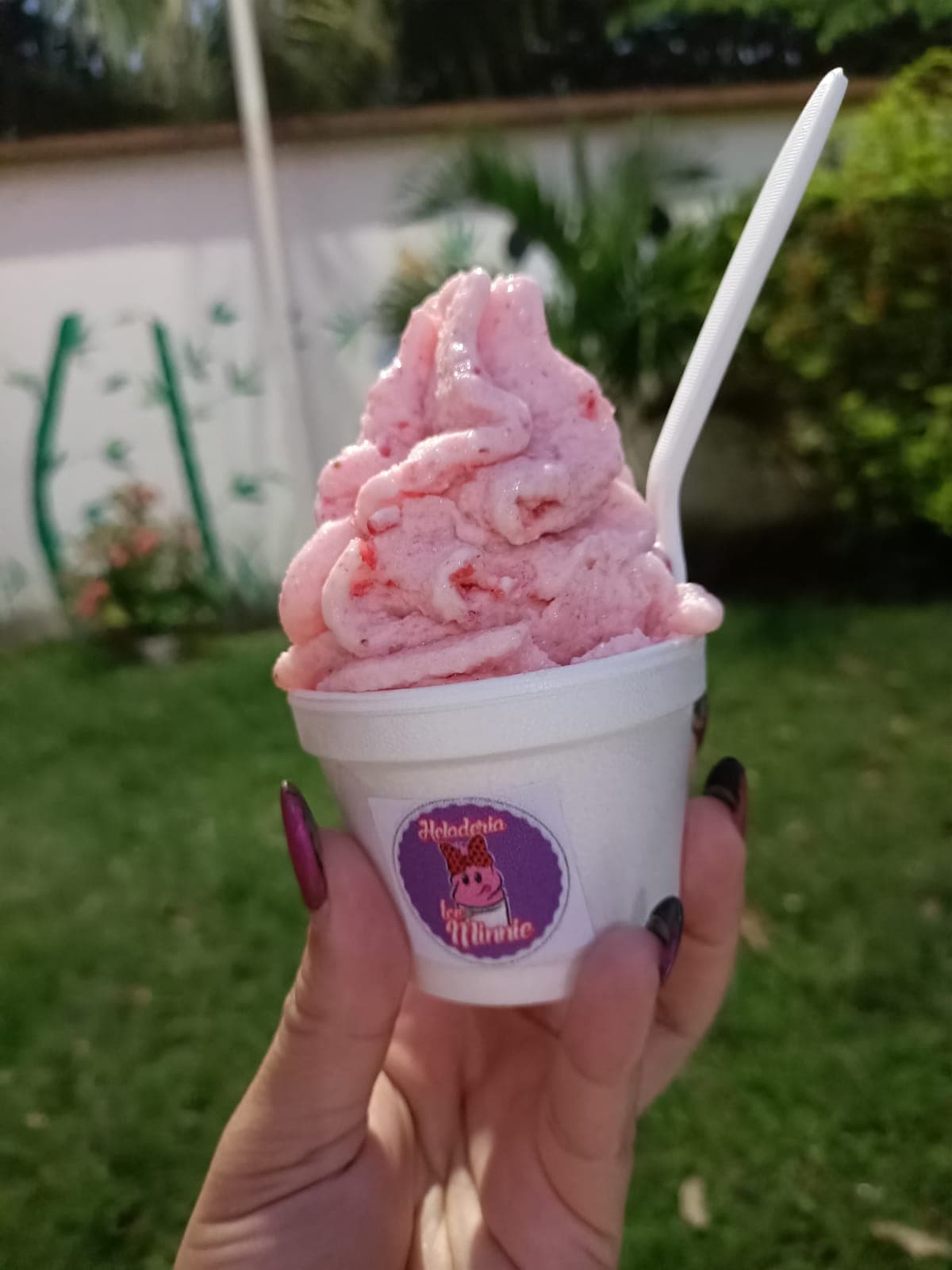 Helado de Yogurt con Fruta Chico