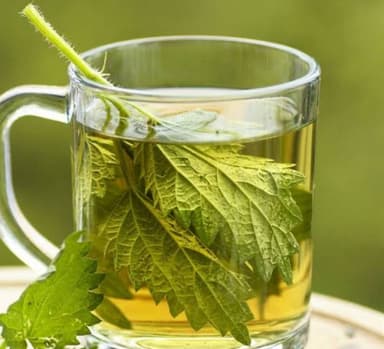 Tisana Menta