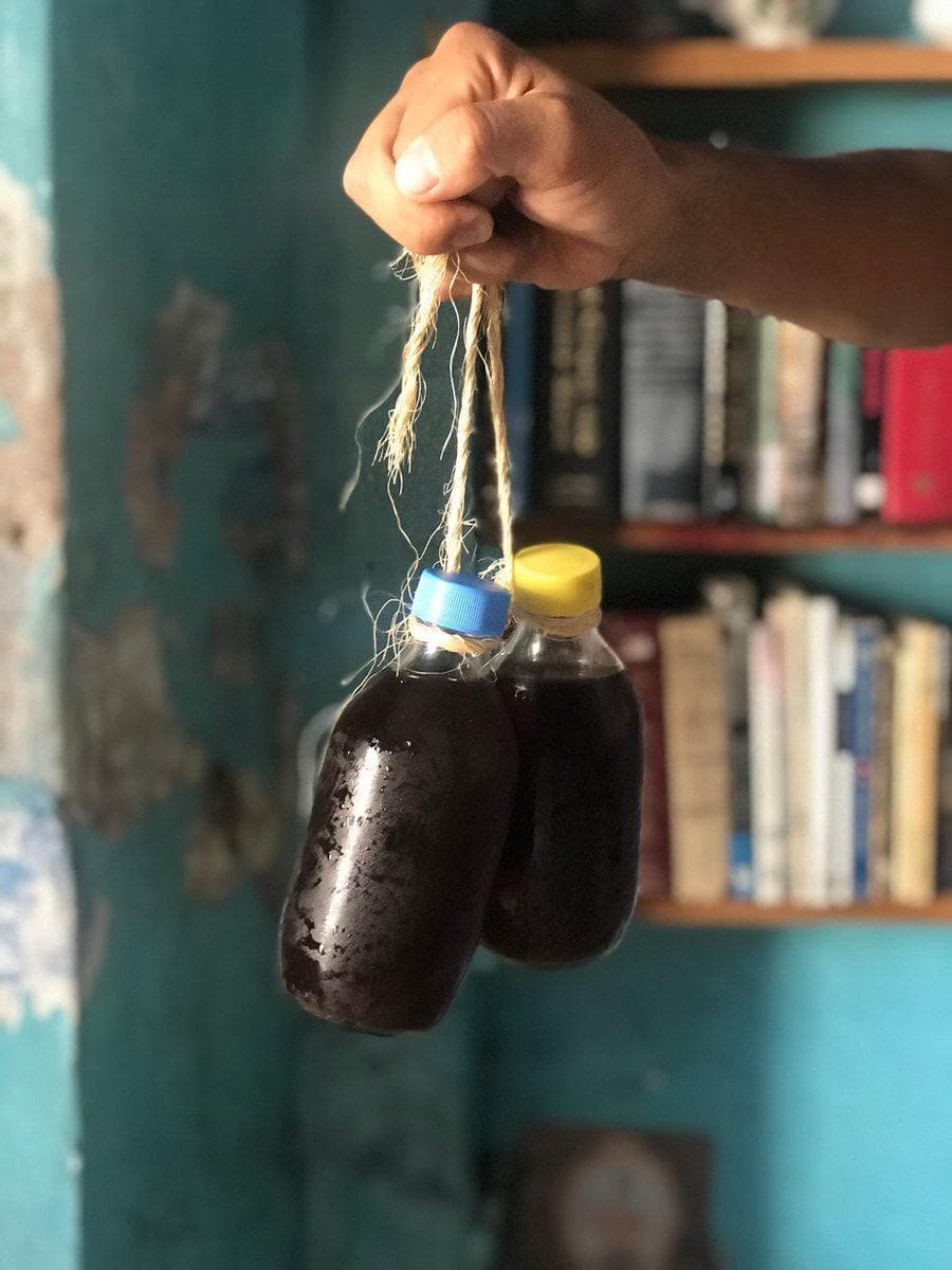 Cold Brew
