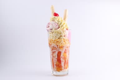 Salpicón 16 Oz - DiDi Oferta 🔝