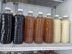 Agua Fresca