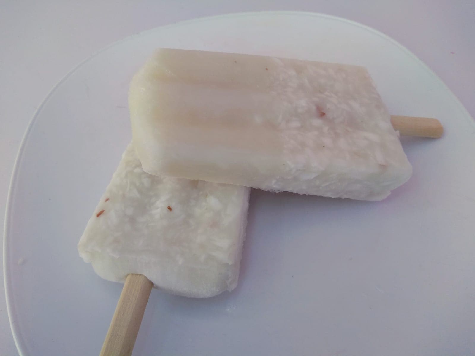 Paleta de Coco
