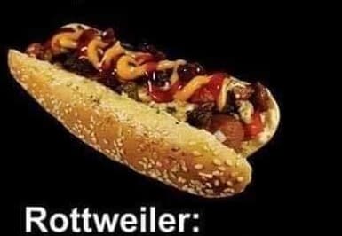 El Rottweiler+cocacola