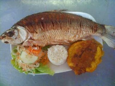 Bocachico
