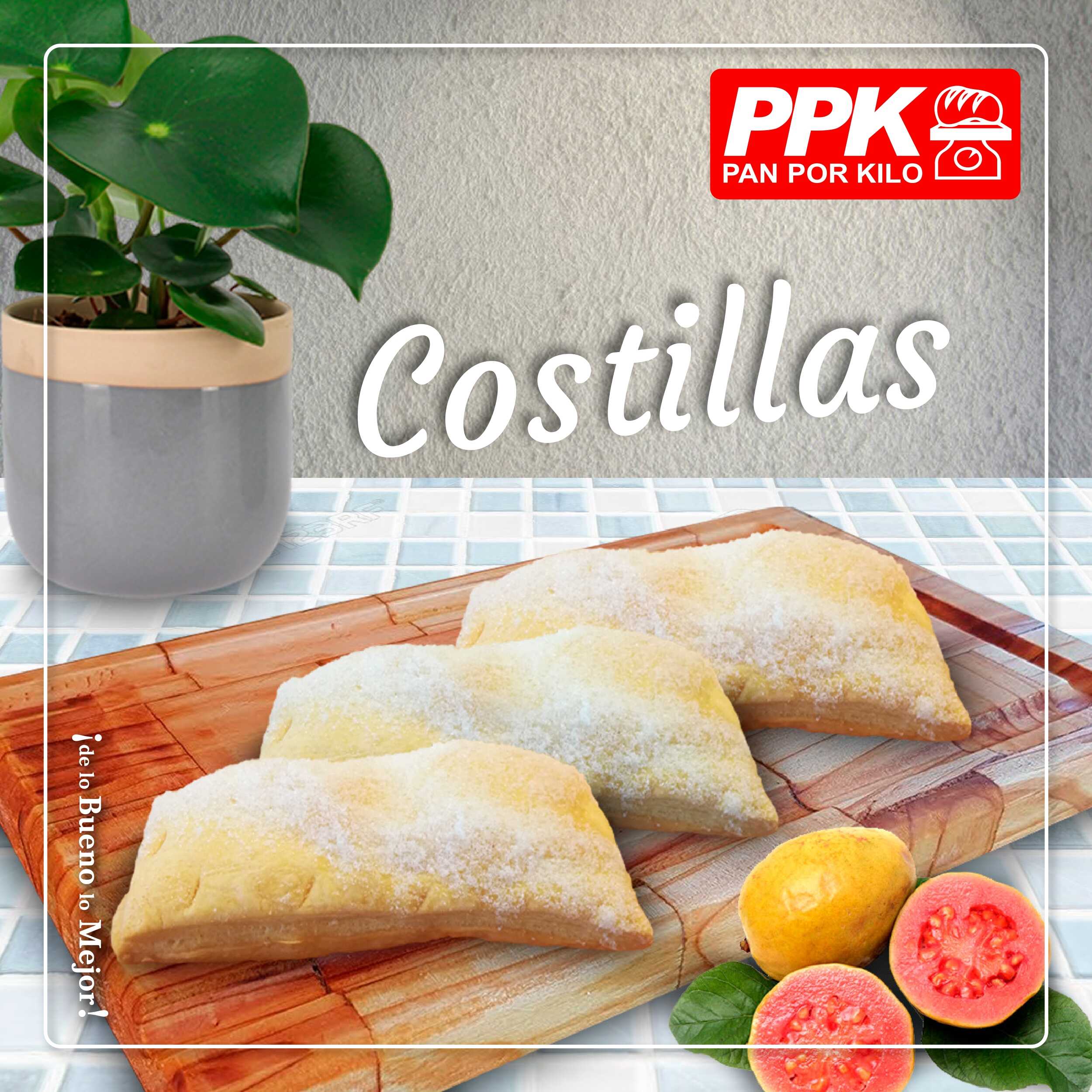 Costilla