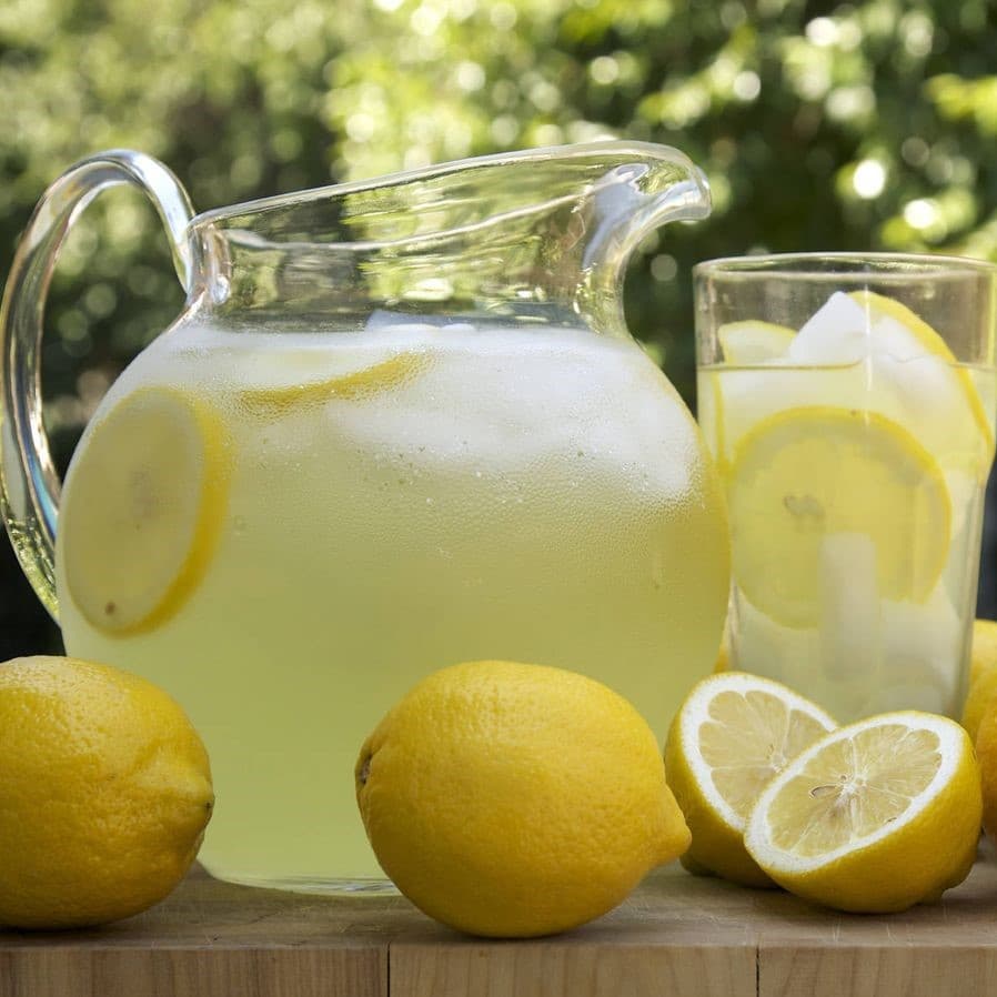 Agua Fresca 500 Ml. Limón con Chia
