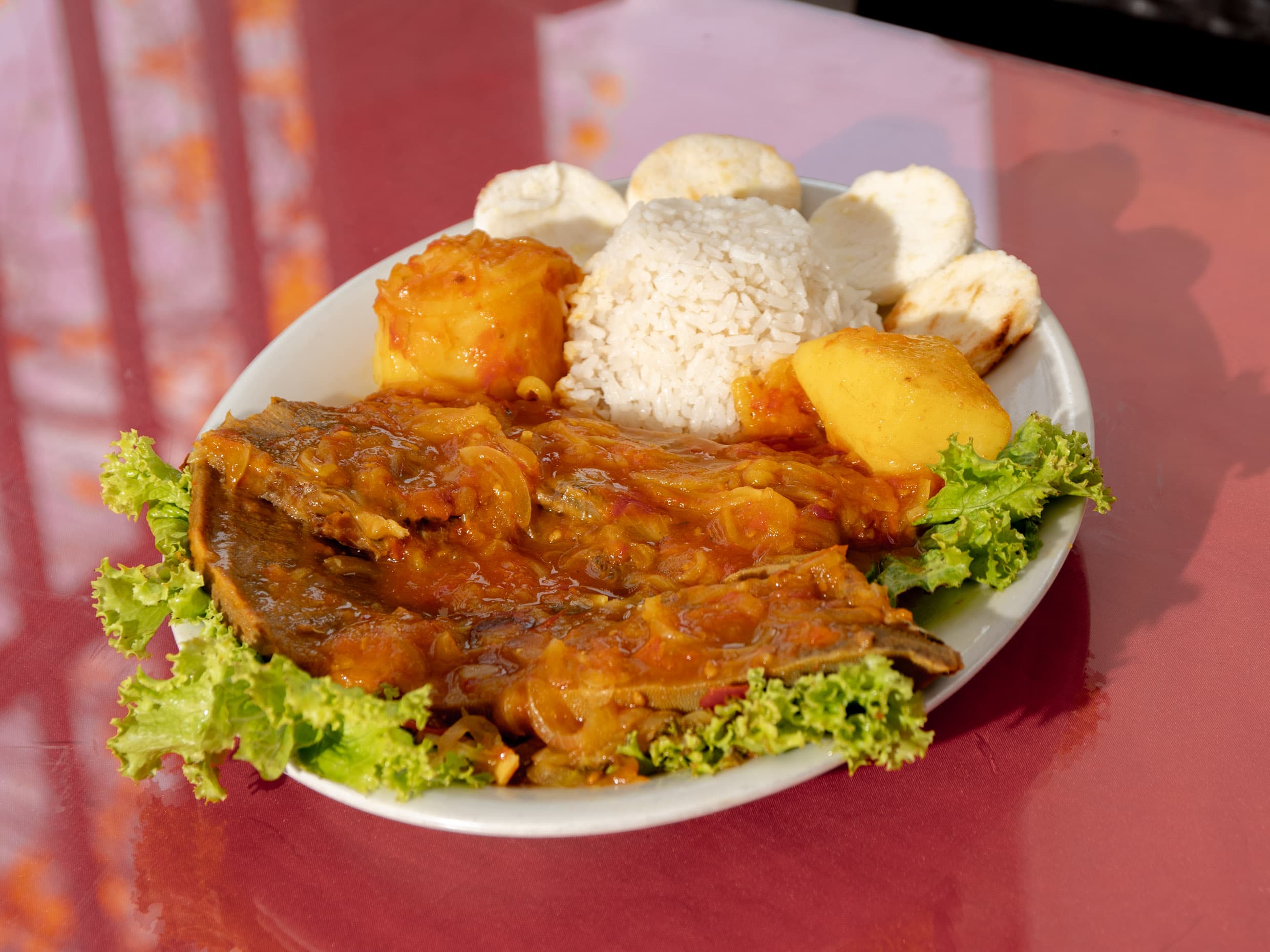 Lengua