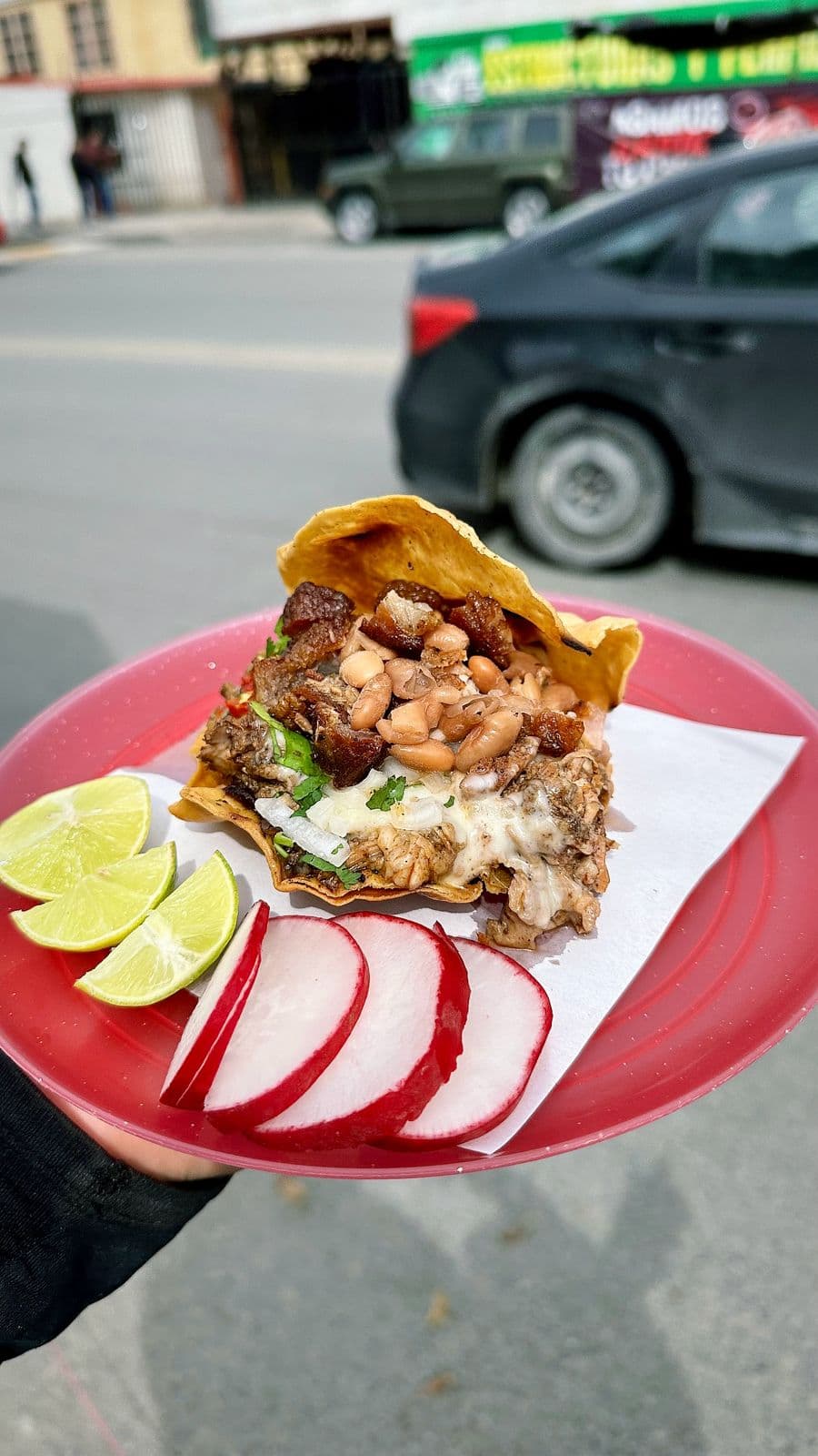 Tostada de Birria