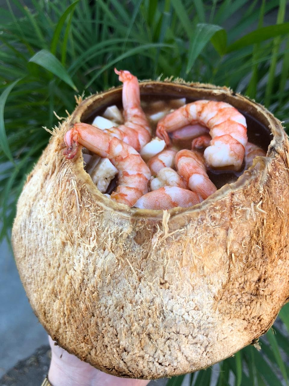 Cocos de Mariscos