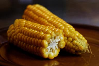 Elote