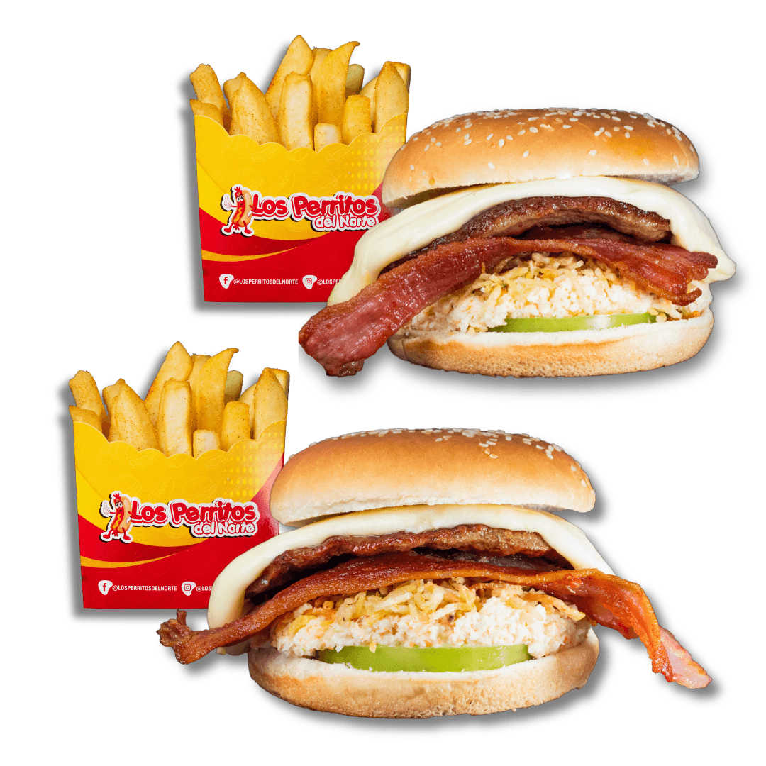Combo 2 hamburguesas especiales + 2 papas