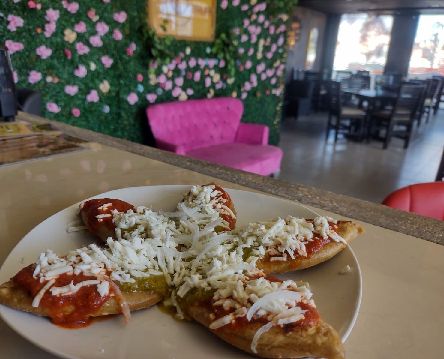 TLACOYOS