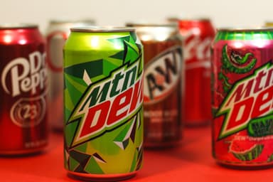 Refresco Lata 355 ml