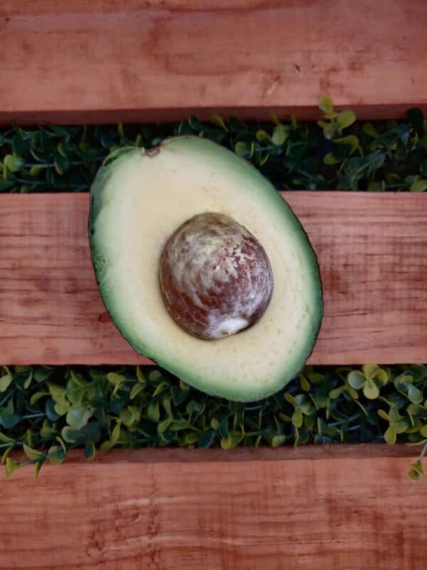 Aguacate Extra
