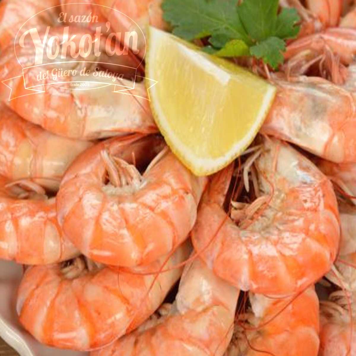 Camarones Sancochados
