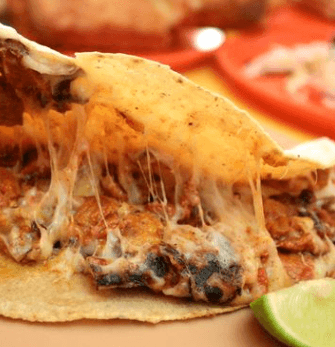 Quesadilla solo de Queso (Maiz)