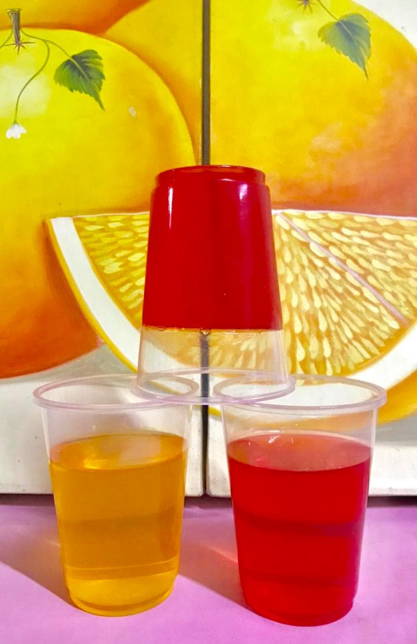 GELATINA SABORES