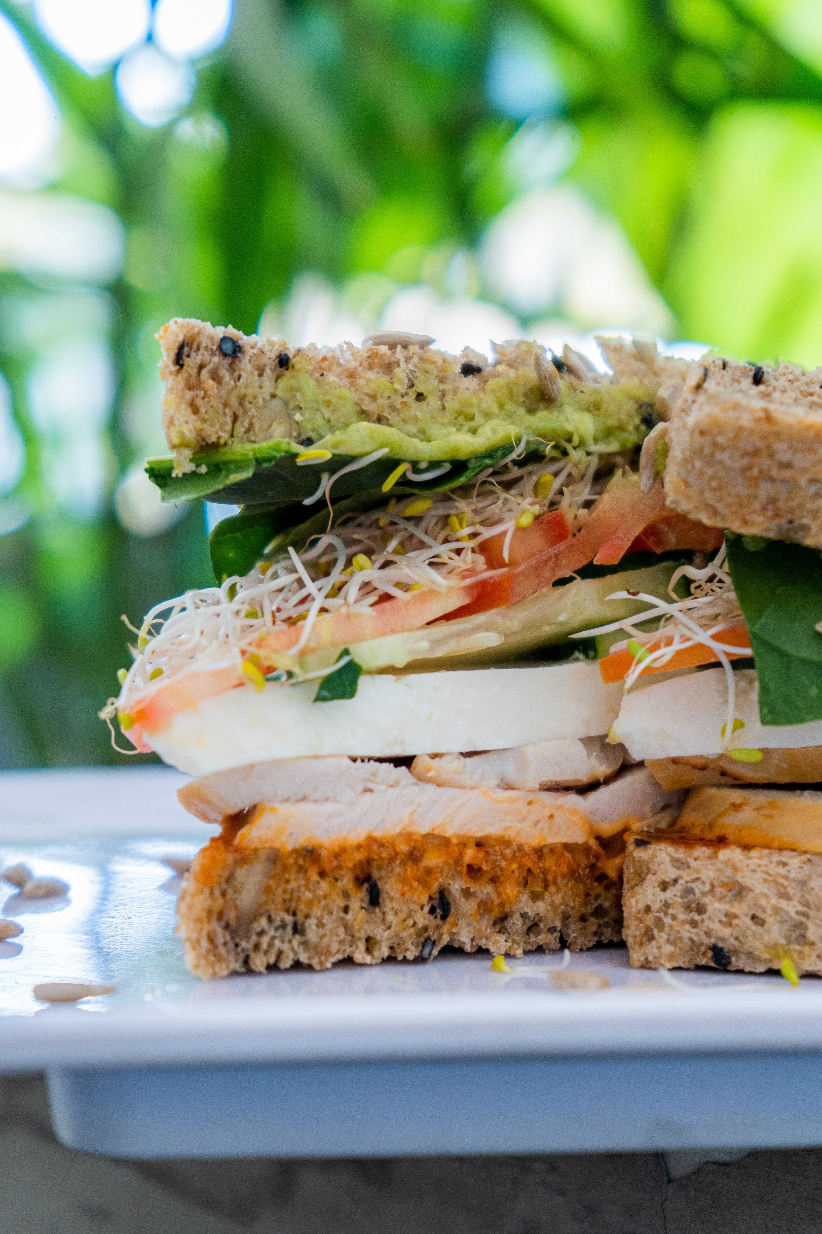 Healthy Sándwich