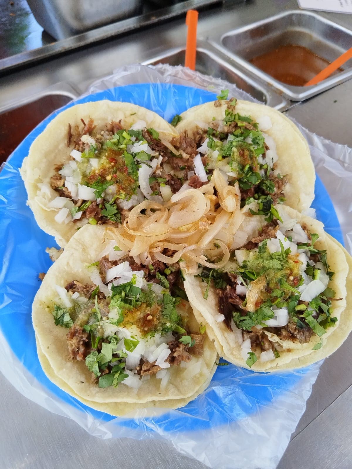 Combo individual