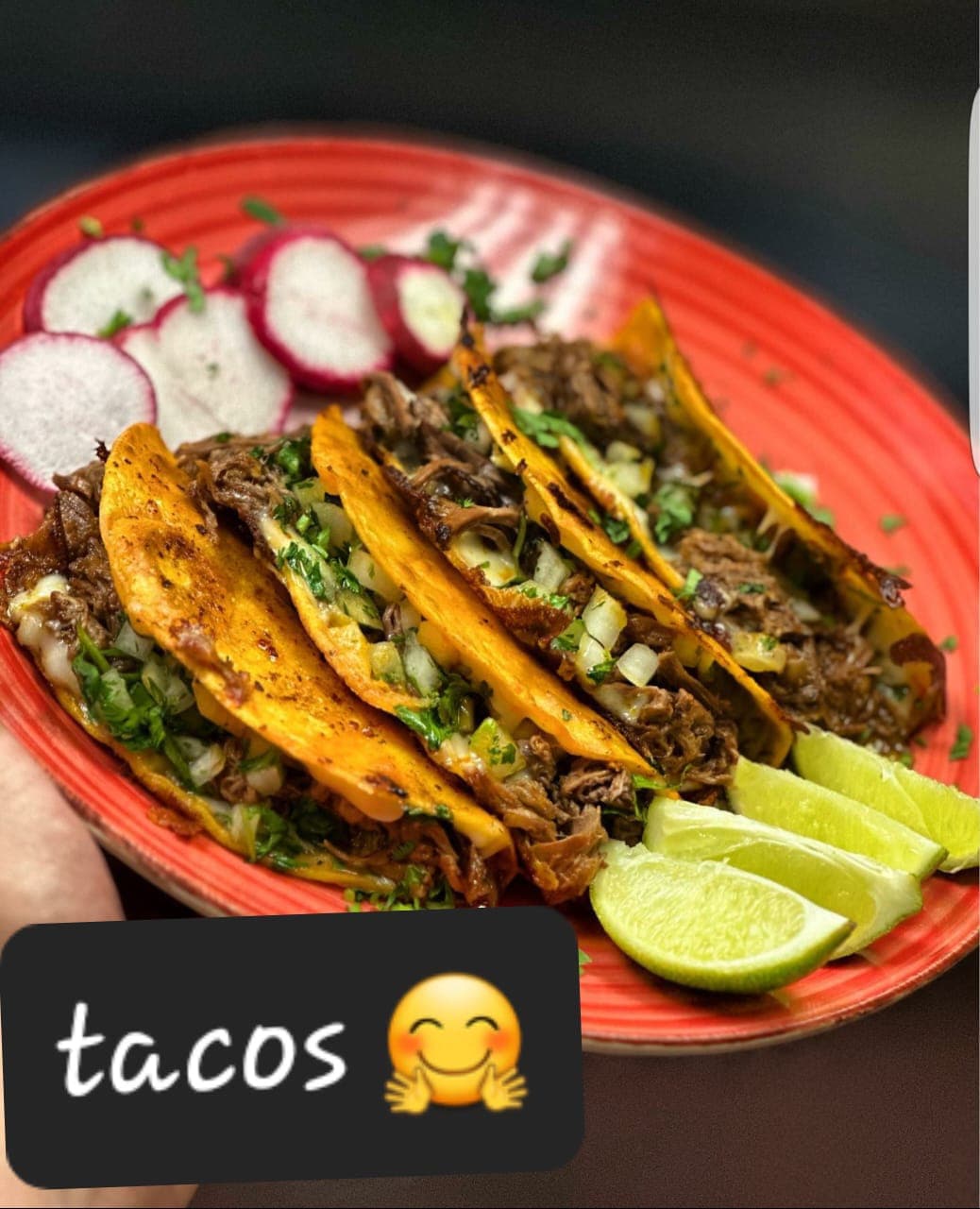 Combo Quesabirrias De Maiz