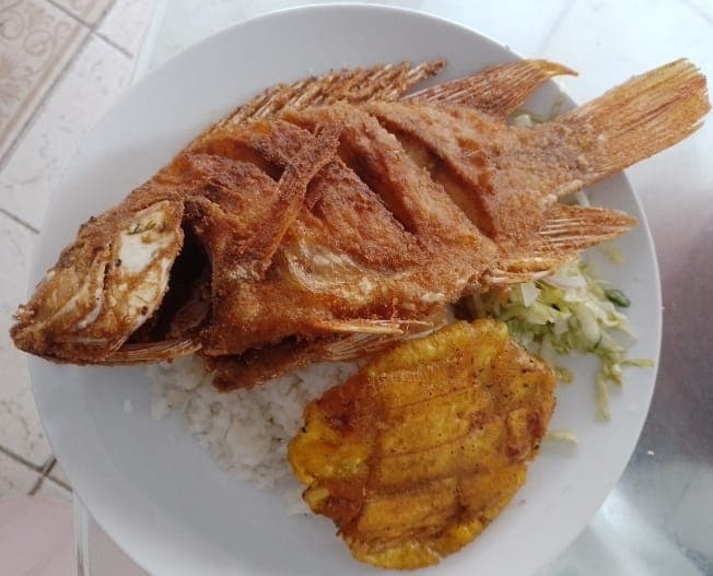 Tilapia Frita