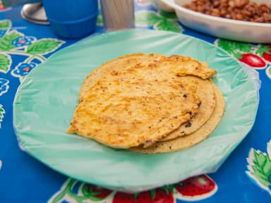 Taco de Pollo