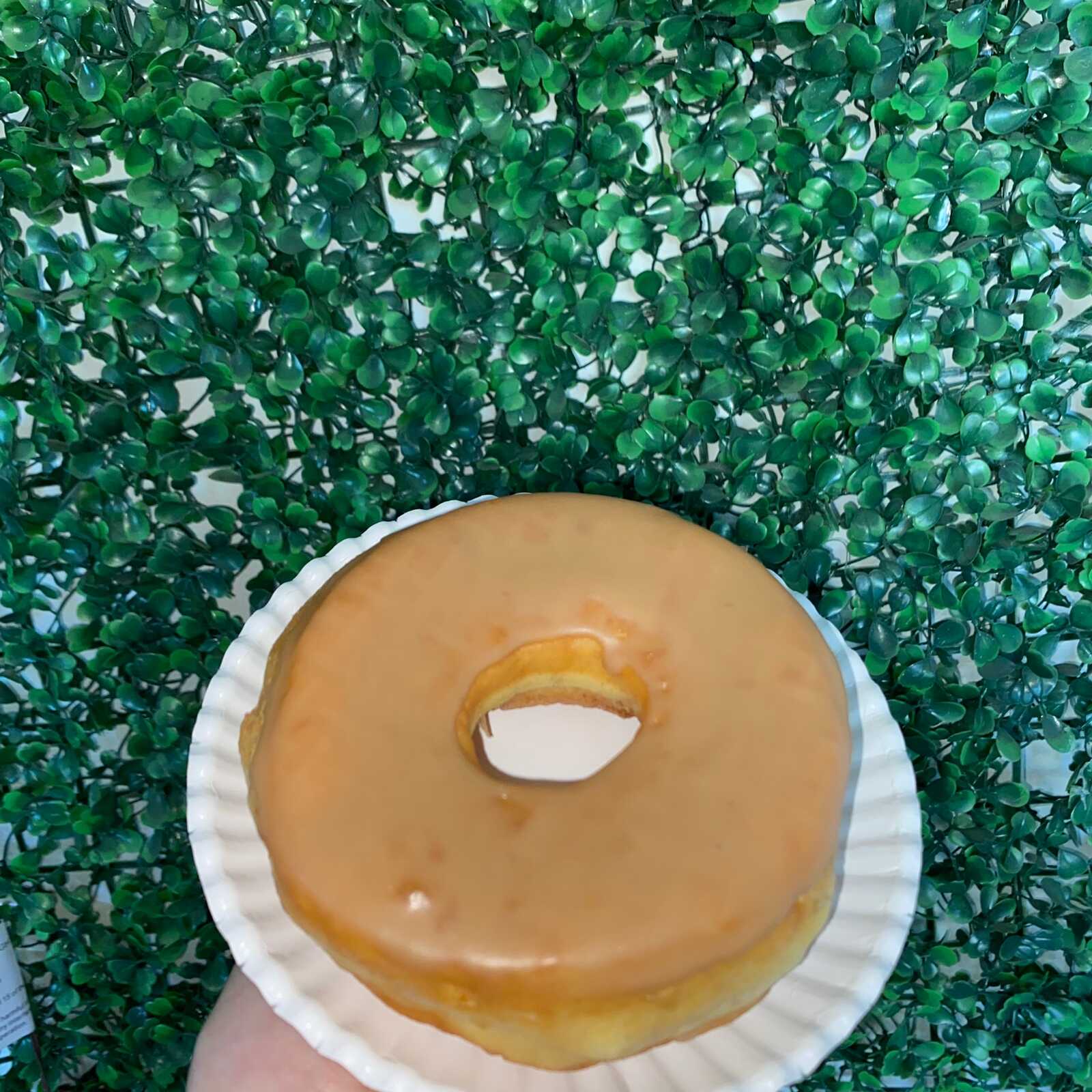 Dona Cubierta de Maple