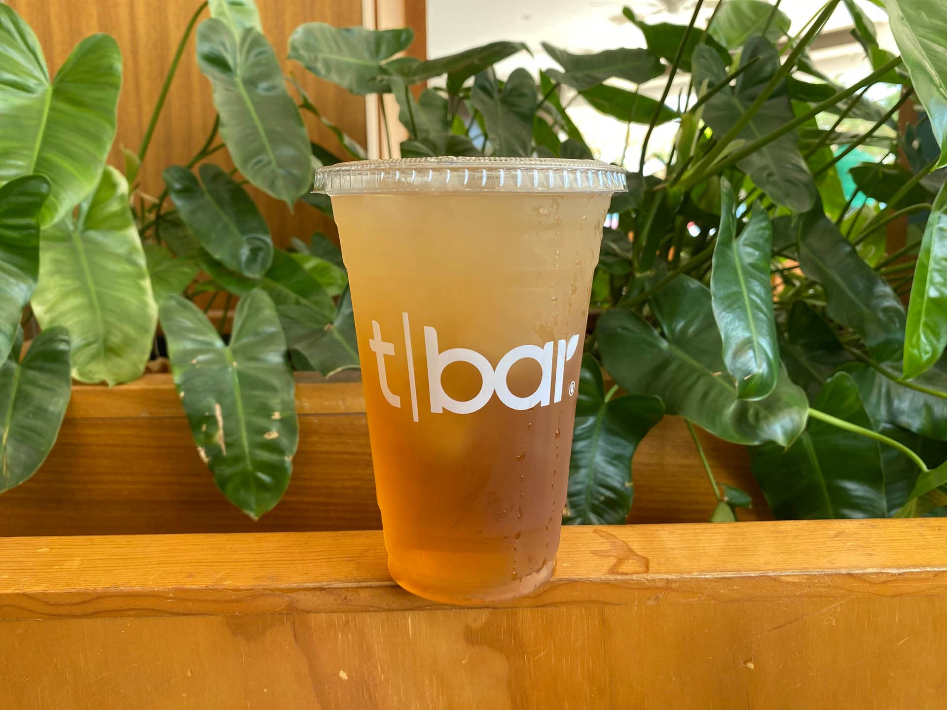 Tisana Spearmint