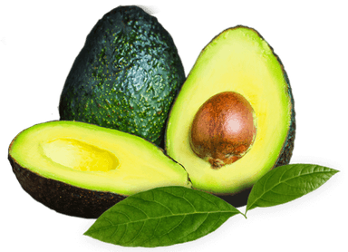 Aguacate