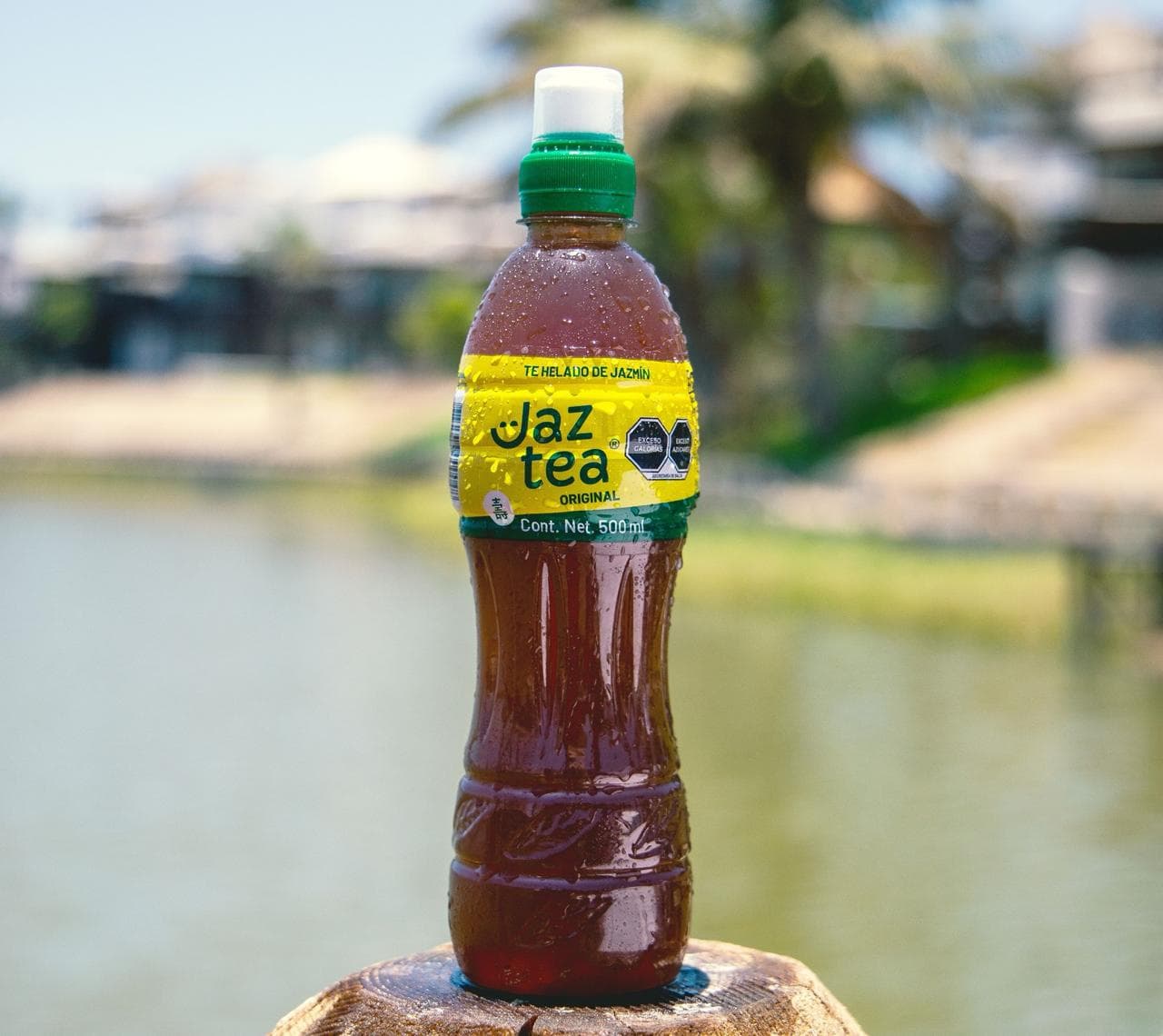 Jaz Tea Regular 500 Ml