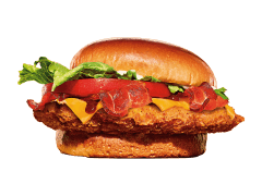 Crispy Chicken Tejana