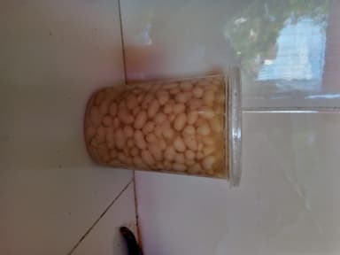 Frijol de Olla