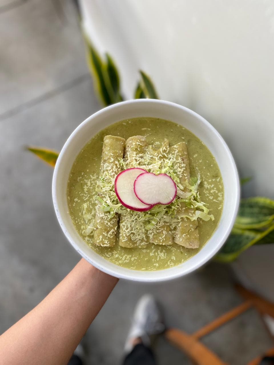 Enchiladas Verdes (4)