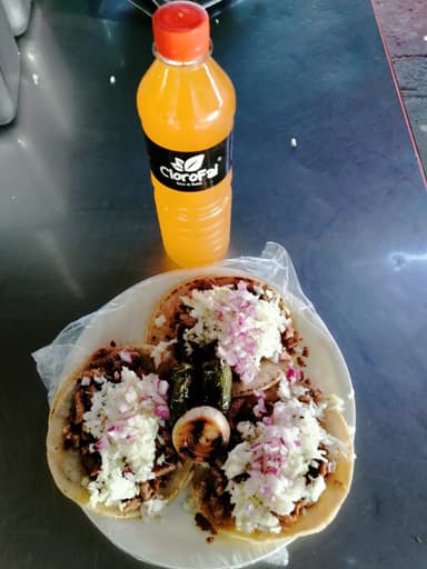 Tacos de Maíz